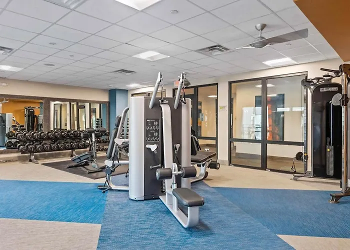 Apartment Escape To The Golden Equestrian 2br Townlake